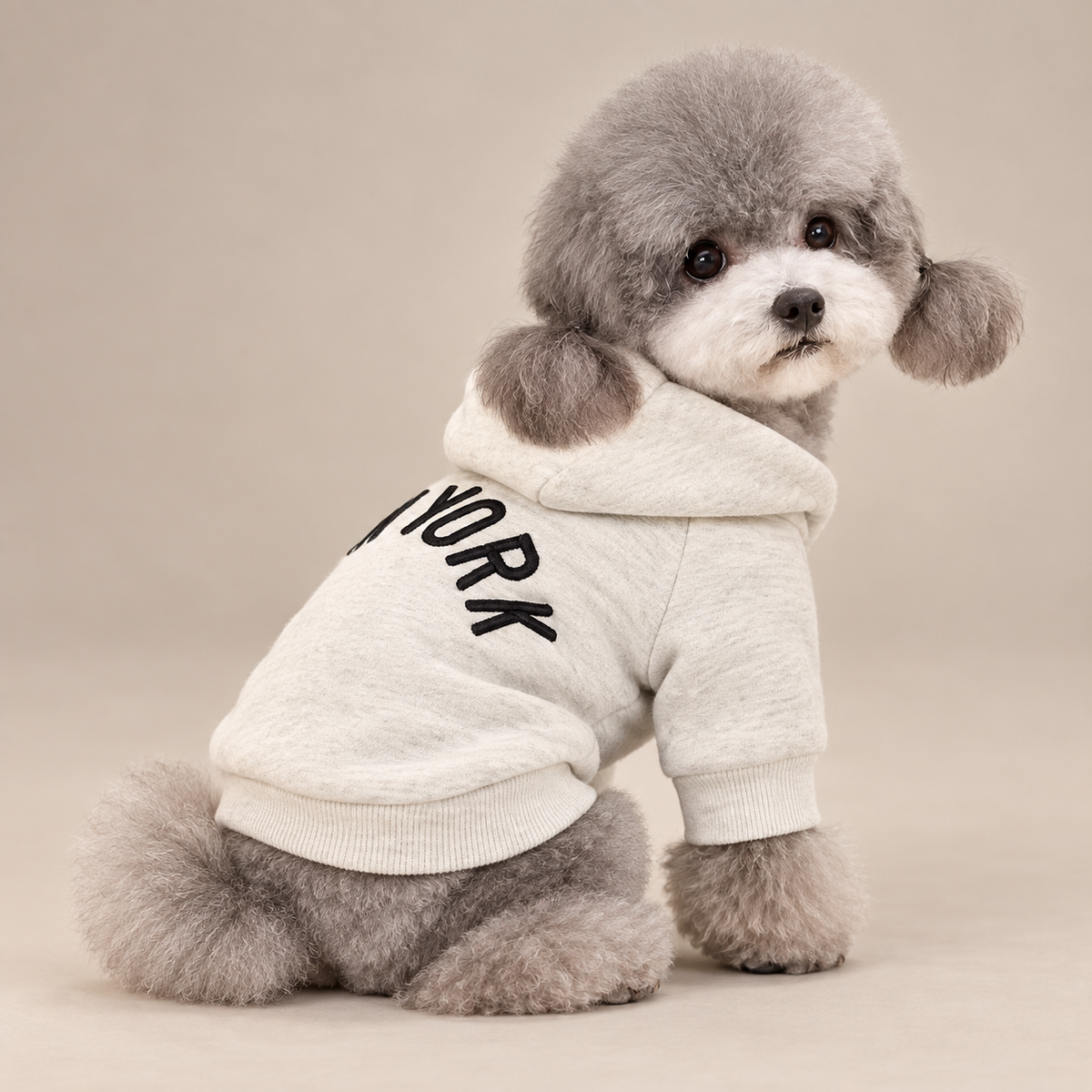 NEW YORK裏起毛パーカーを着た犬