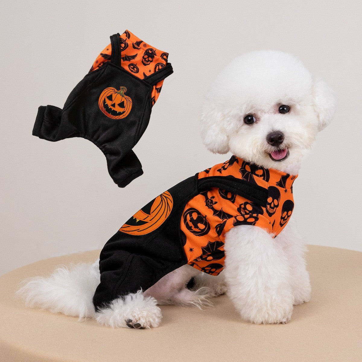 パンプキン柄のハロウィンオーバーオールを着た犬